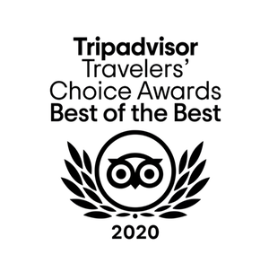 2020 TripAdvisor Transparent